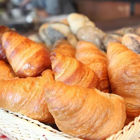 فندق مونتانا زيورخ