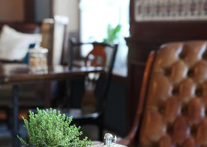 فندق مونتانا زيورخ