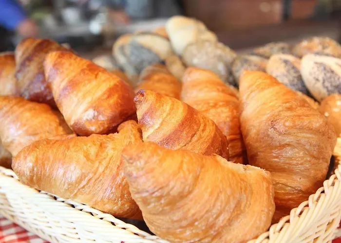 فندق مونتانا زيورخ